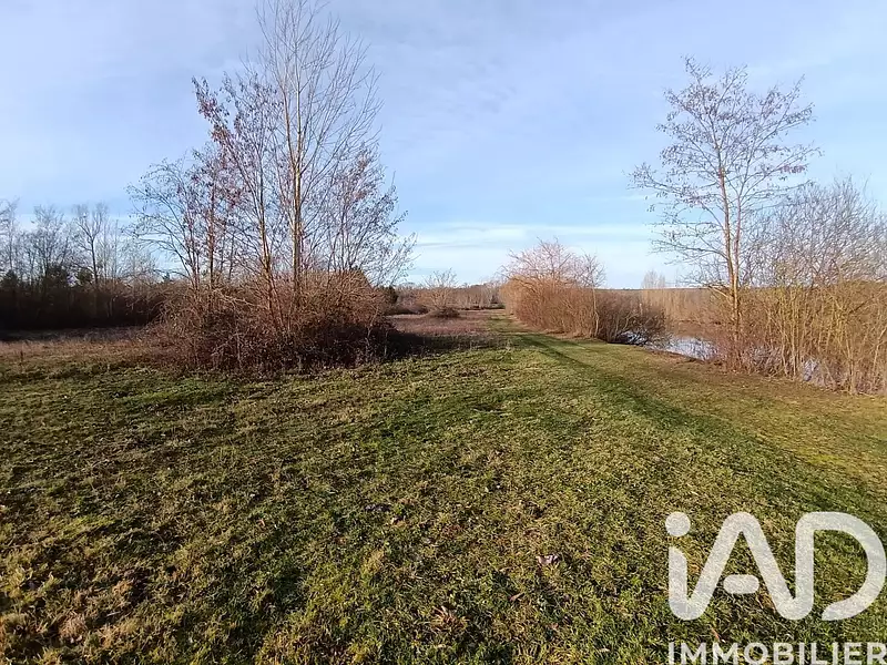 Étang d'agrément à Chichery — photo 3