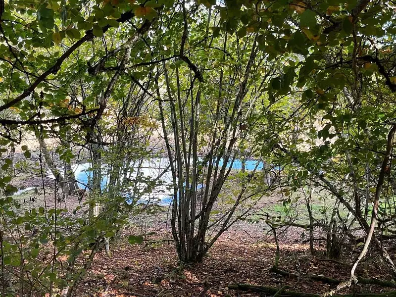 Étang d'agrément à Montsauche-les-Settons — photo 3