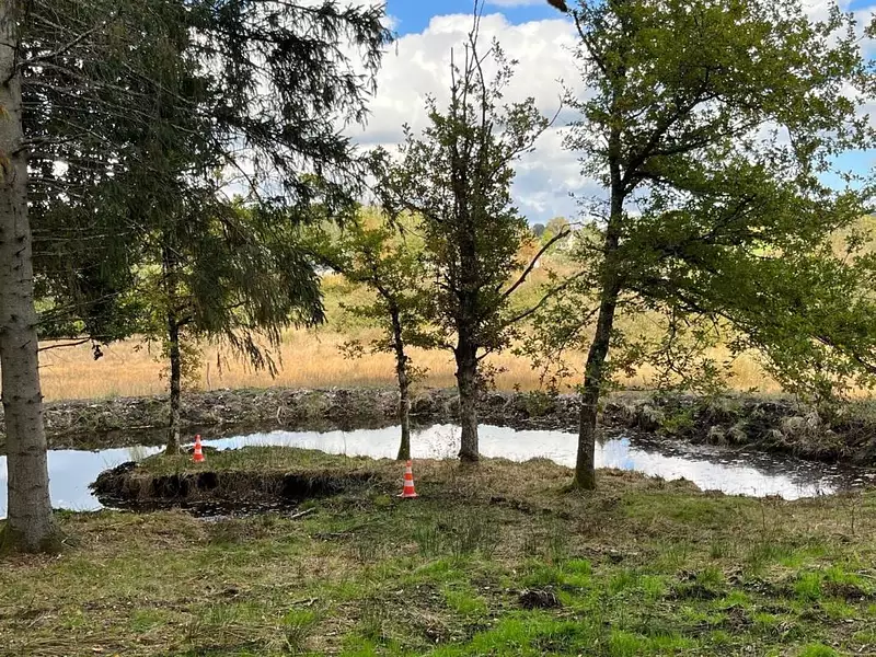 Étang d'agrément à Montsauche-les-Settons — photo 2
