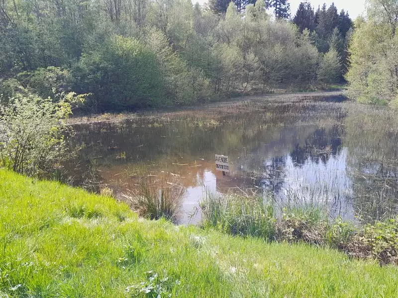 Étang de pêche à Faucogney-et-la-Mer — photo 2