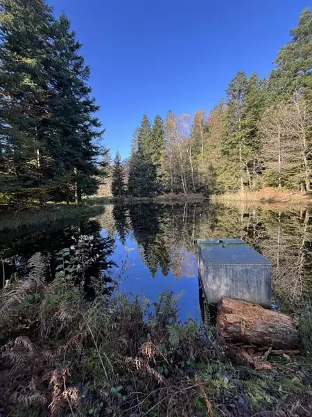 Étang de pêche à Faucogney-et-la-Mer — photo 4