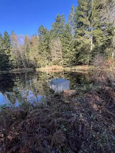 Étang de pêche à Faucogney-et-la-Mer — photo 5