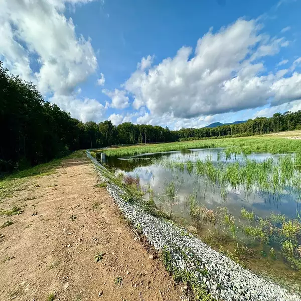 Leisure lake, 4.5 ha with development potential near Belfort, Burgundy — photo 4