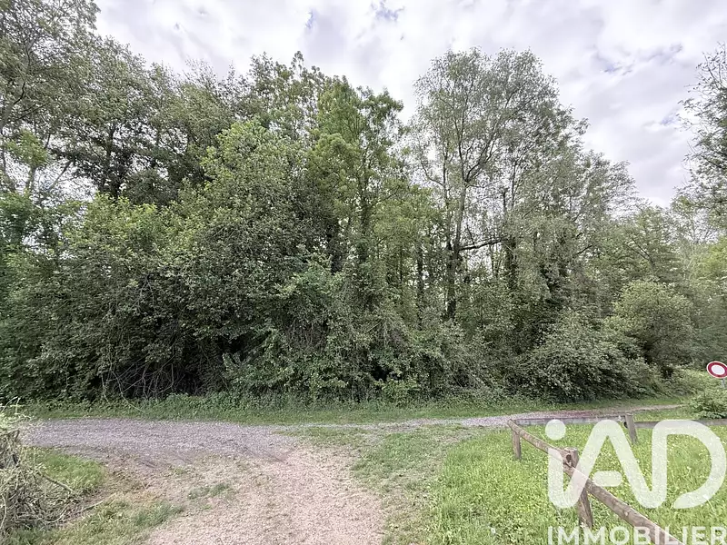 Étang d'agrément à Valravillon — photo 3