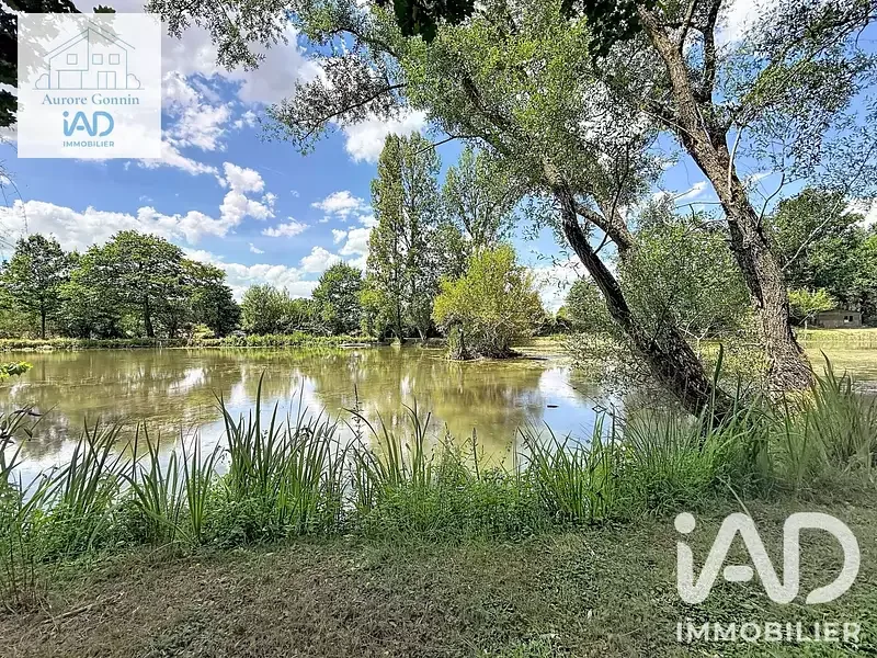 Étang de pêche à Chantenay Saint Imbert (58) — photo 2