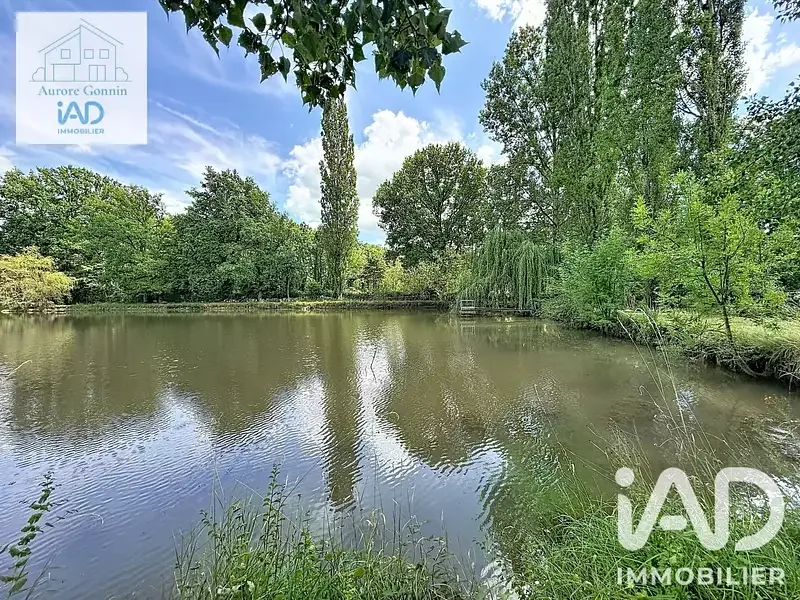 Étang de pêche à Chantenay Saint Imbert (58) — photo 3
