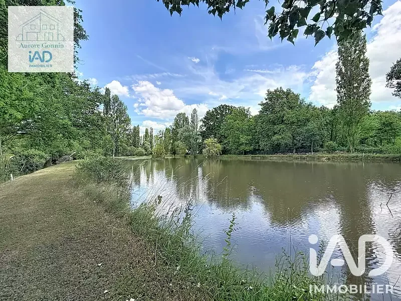 Étang de pêche à Chantenay Saint Imbert (58) — photo 4