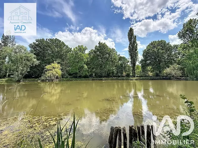 Étang de pêche à Chantenay Saint Imbert (58) — photo 5