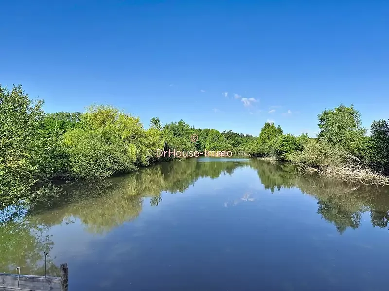 Étang de pêche à Chichery (89)