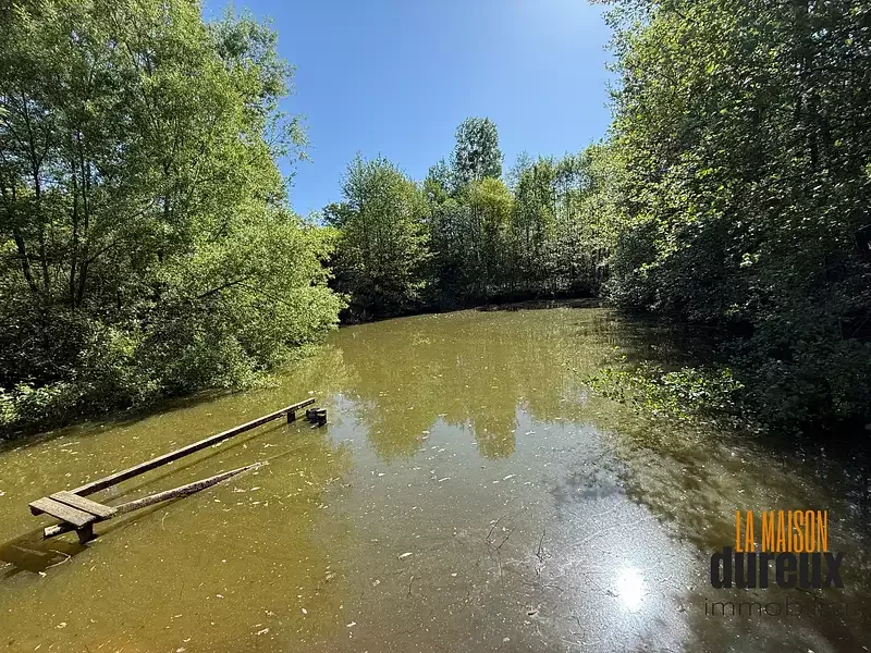 Étang de loisir à Velet (70) — photo 3