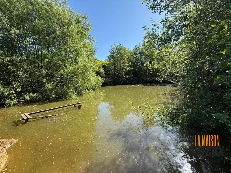 Étang de loisir à Velet (70) — photo 4