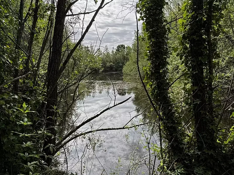Étang de pêche à Charmoy (89) — photo 2