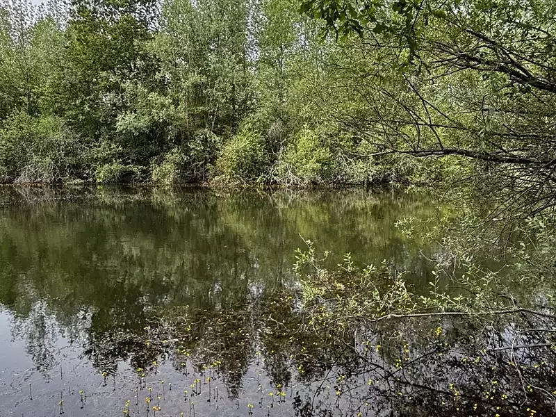 Étang de pêche à Charmoy (89) — photo 3
