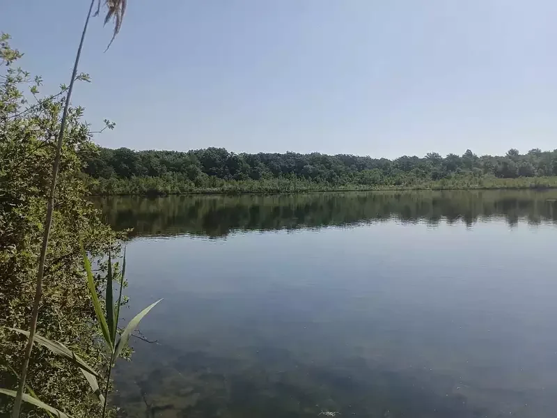 Étang de pêche à Ailloncourt (70) — photo 3