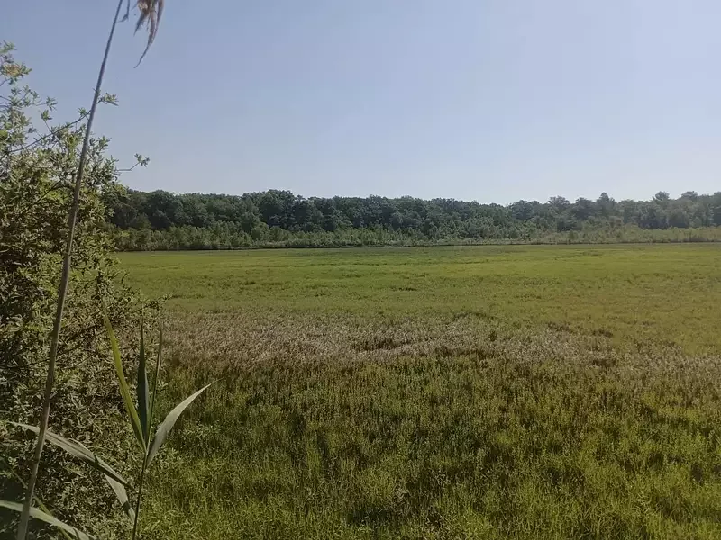 Étang de pêche à Ailloncourt (70) — photo 4