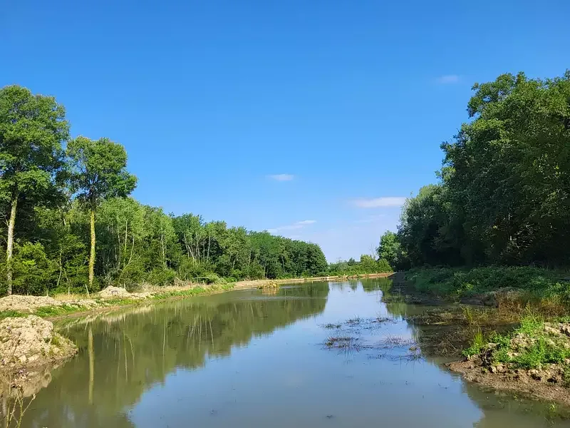 Étang de loisir à Savigny Sur Seille (71) — photo 3