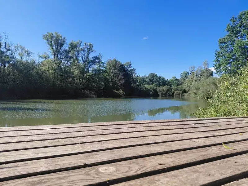 Étang de loisir à Epineau Les Voves (89) — photo 3