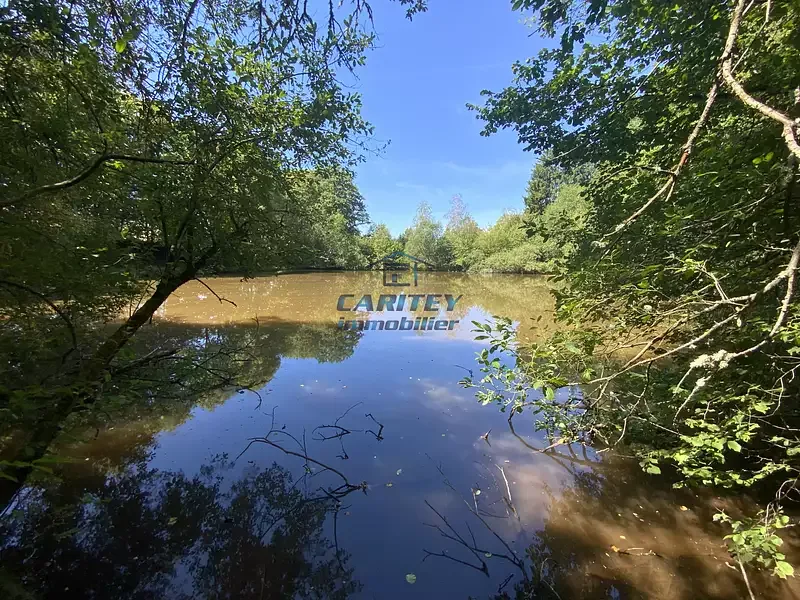 Étang de pêche à Frahier Et Chatebier (70) — photo 4