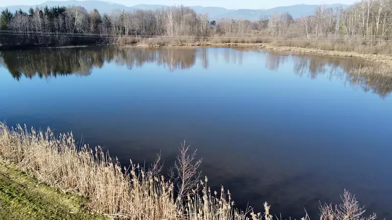 Étang d'agrément à Sermamagny — photo 2