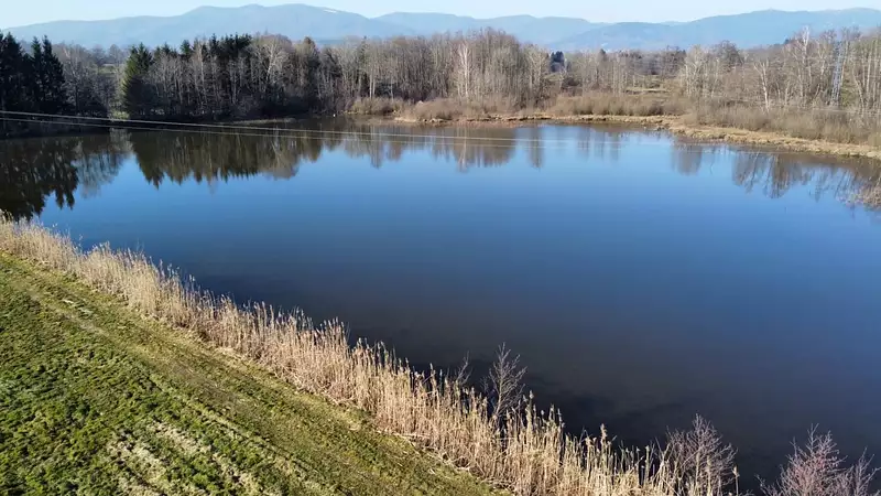 Étang d'agrément à Sermamagny