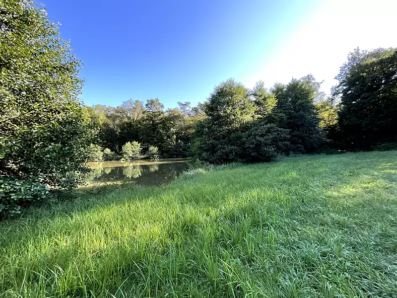 Étang d'agrément à Polaincourt-et-Clairefontaine — photo 4