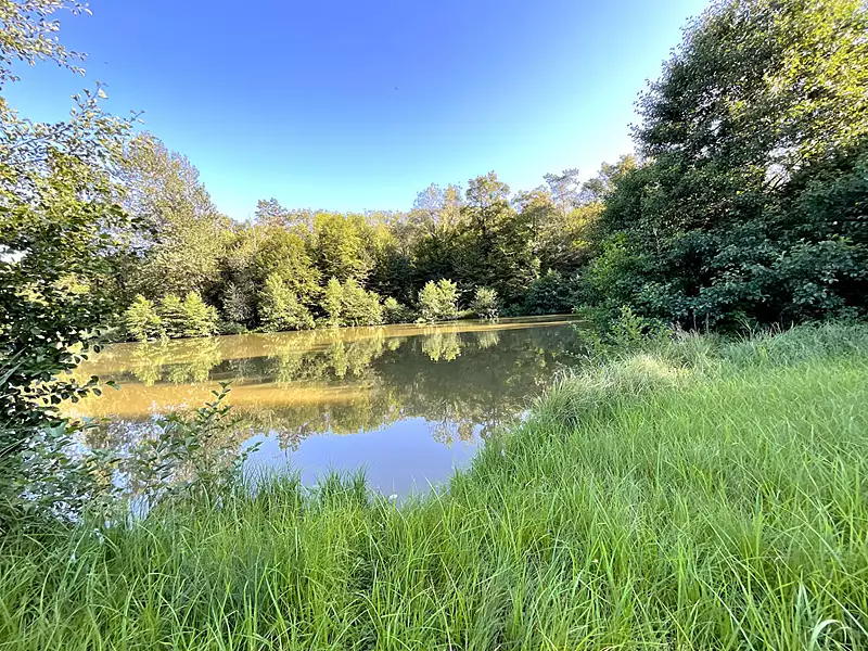 Étang d'agrément à Polaincourt-et-Clairefontaine — photo 2