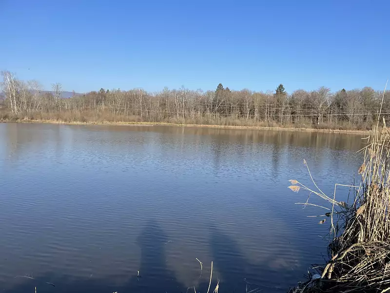 Étang d'agrément à Sermamagny — photo 4
