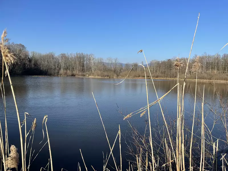 Étang d'agrément à Sermamagny — photo 5