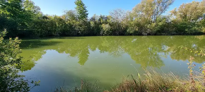 Étang de pêche à Cuy — photo 4