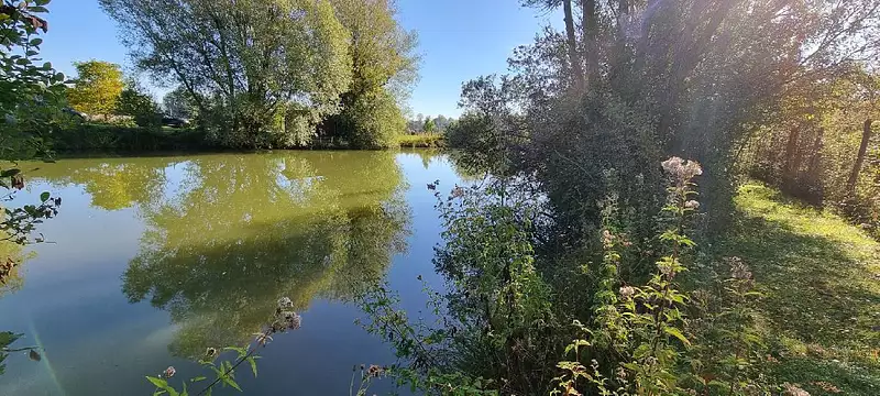 Étang de pêche à Cuy — photo 2