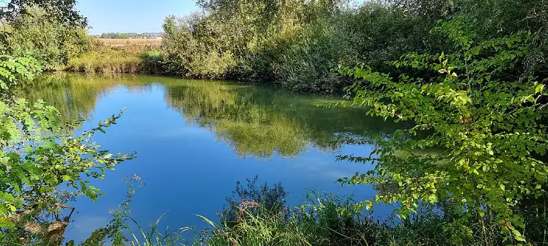 Étang de pêche à Cuy — photo 2