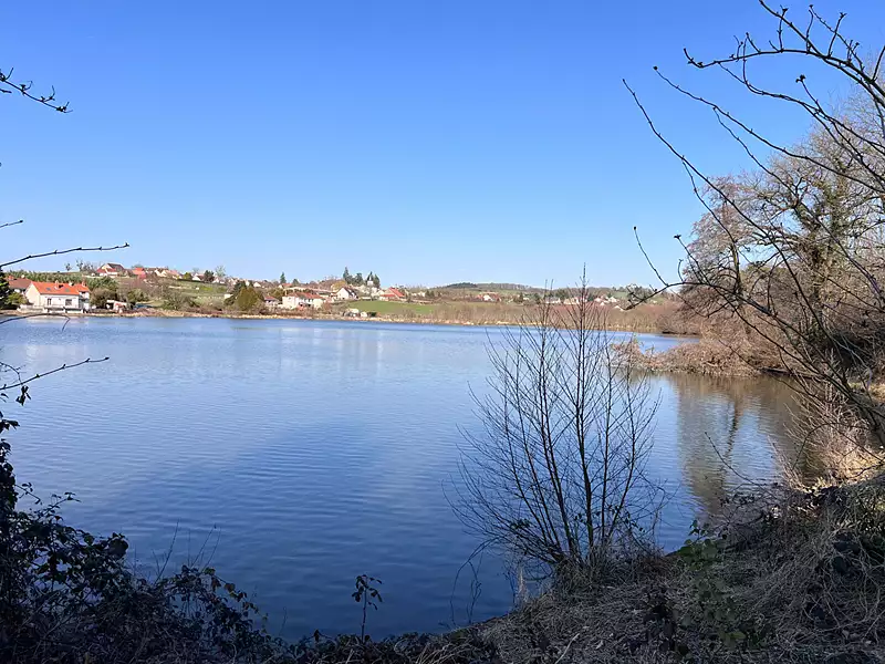 Étang de pêche de 8,3 ha à Grury — photo 4