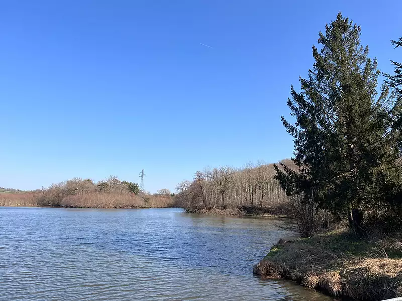 Étang de pêche de 8,3 ha à Grury — photo 3
