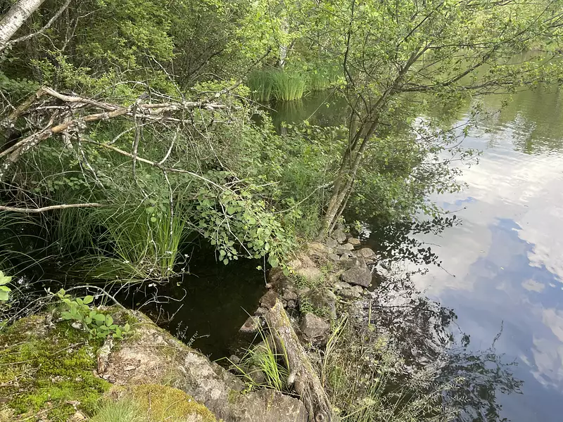 Étang de pêche à Servance-Miellin — photo 4