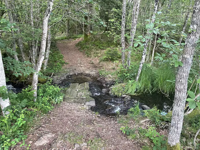 Fishing lake, 2.6 ha in Burgundy — photo 5