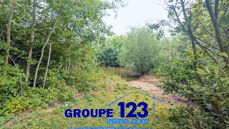 Étang d'agrément de 1 ha à Chichery — photo 3