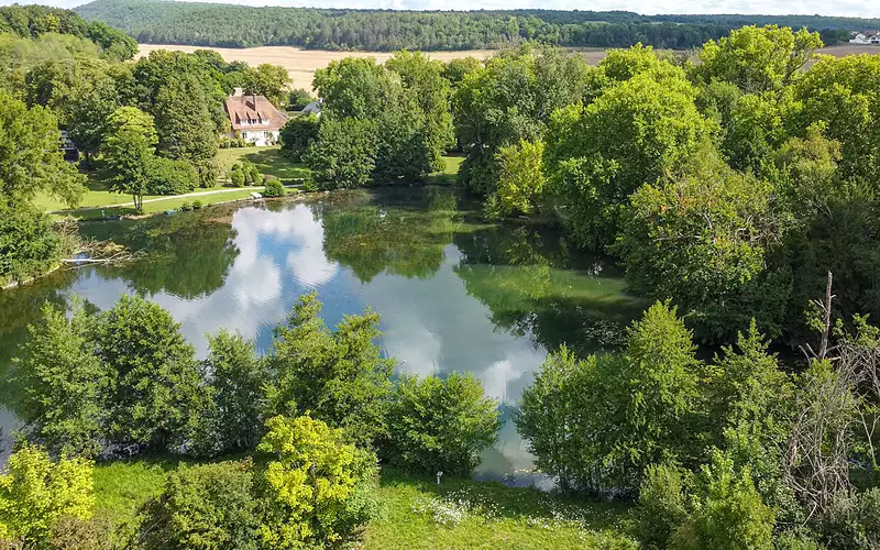 Étang d'agrément à Diénay — photo 2