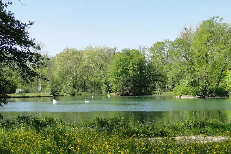 Leisure lake plot, 7,240 m² with natural pond frontage in Burgundy — photo 5