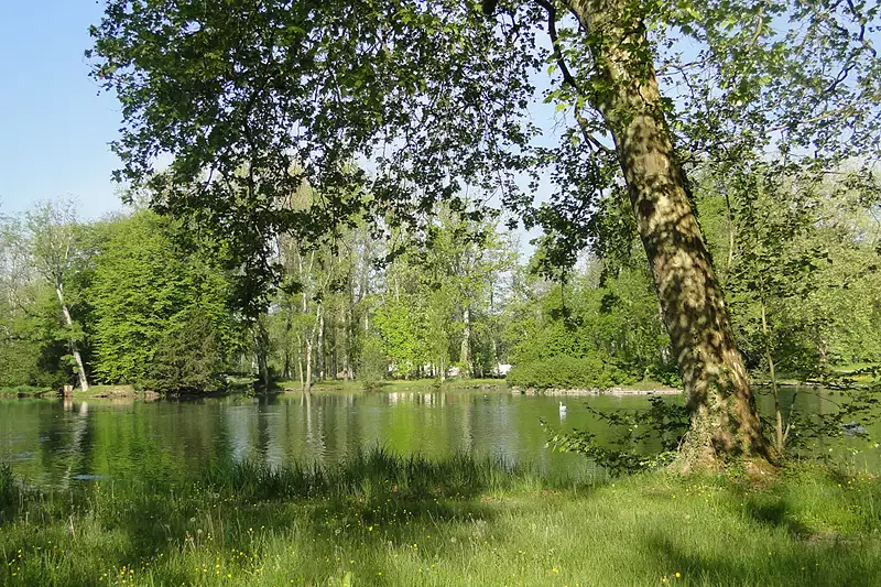 Étang d'agrément à Diénay