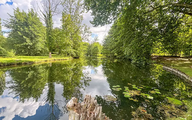 Leisure lake plot, 7,240 m² with natural pond frontage in Burgundy — photo 4