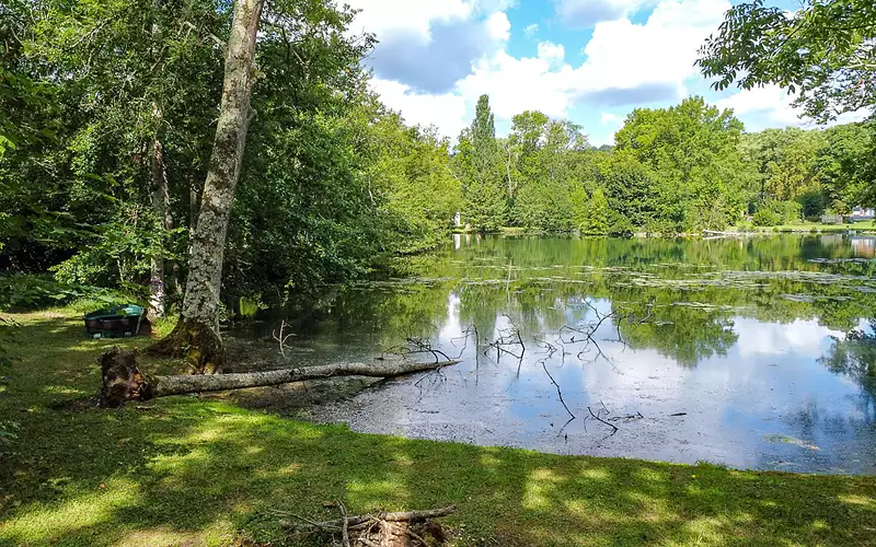 Leisure lake plot, 7,240 m² with natural pond frontage in Burgundy — photo 3