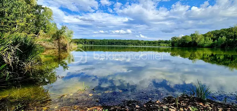 Étang d'agrément de 18 ha à Charette-Varennes — photo 3