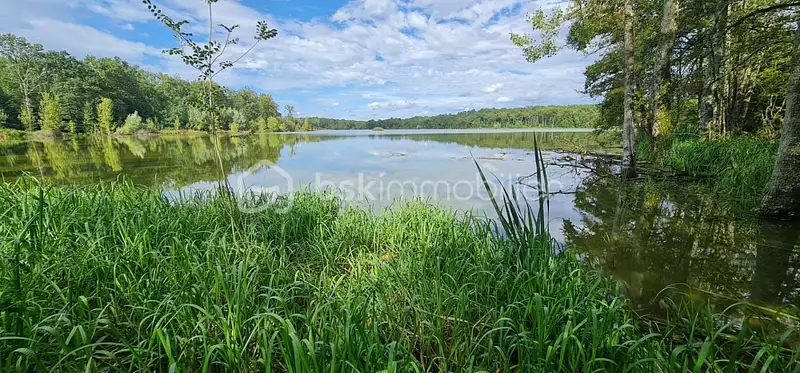 Étang d'agrément de 18 ha à Charette-Varennes — photo 4