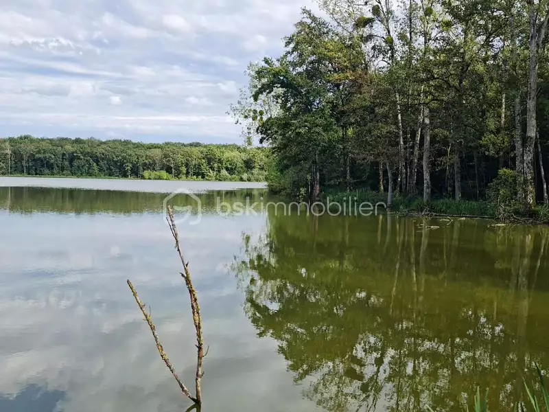 Leisure lake, 18 ha in Burgundy — photo 4