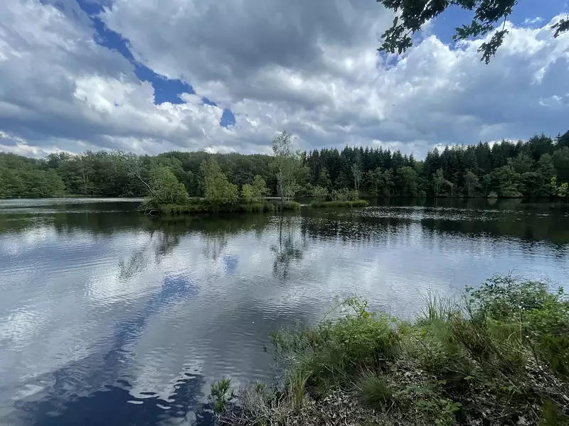 Étang de pêche à Servance-Miellin — photo 3