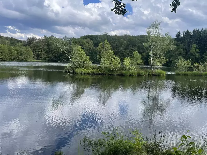 Étang de pêche à Servance-Miellin — photo 2