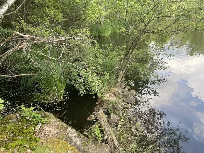 Étang de pêche à Servance-Miellin — photo 4