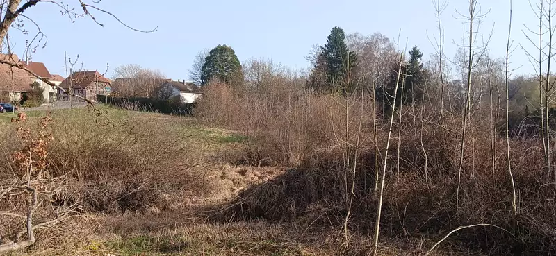 Leisure pond with development potential near Belfort, Burgundy — photo 5