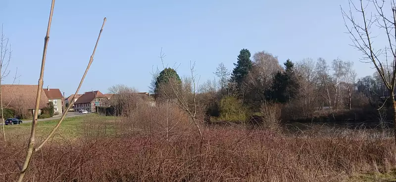 Étang d'agrément à Foussemagne