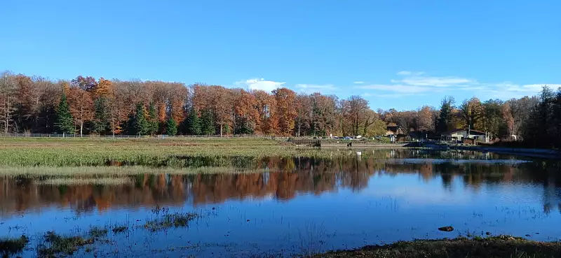 Étang d'agrément à Leval — photo 2